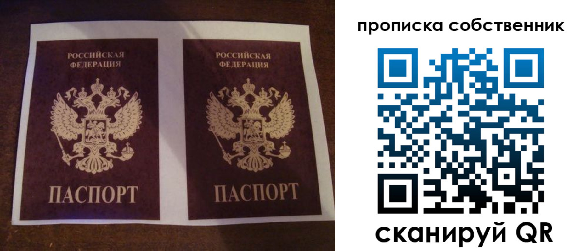 прописка ребенка в Алексеевке